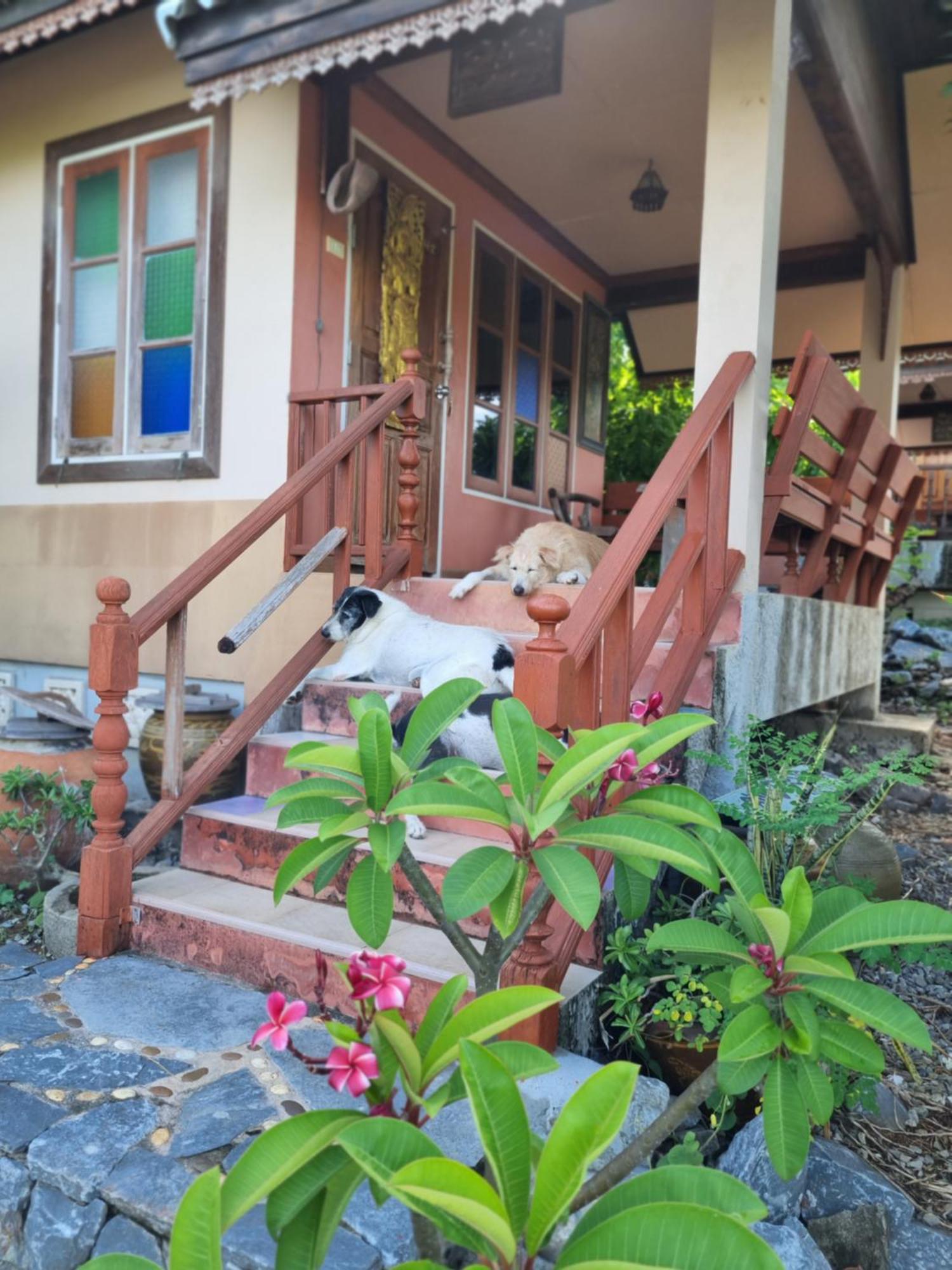 Hello Sichang Bungalow 席昌岛 客房 照片